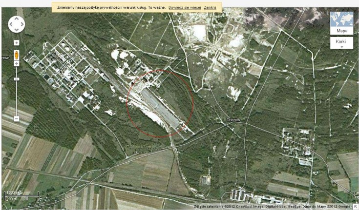 grzybów.JPG