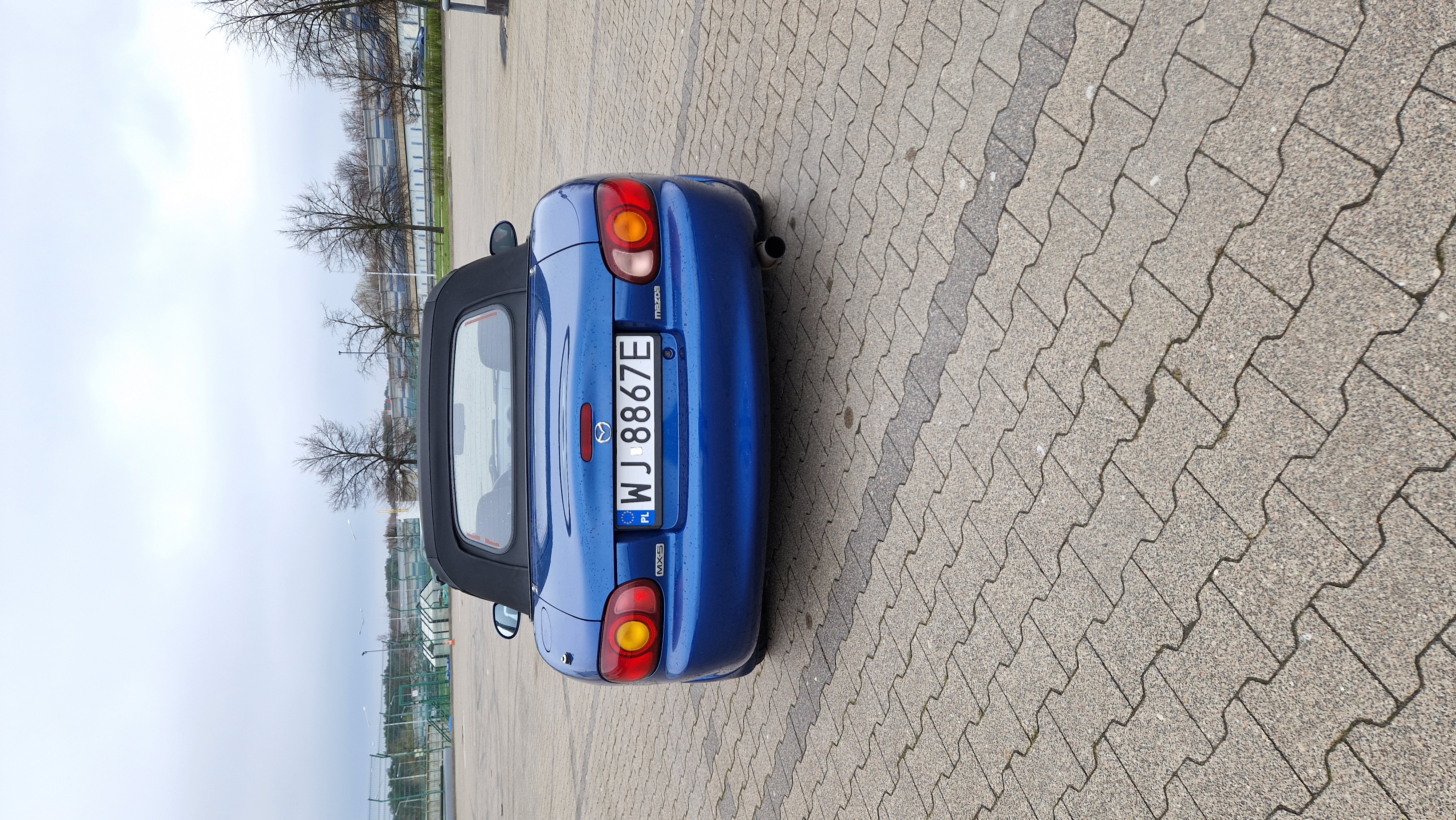 20240324_082323.jpg