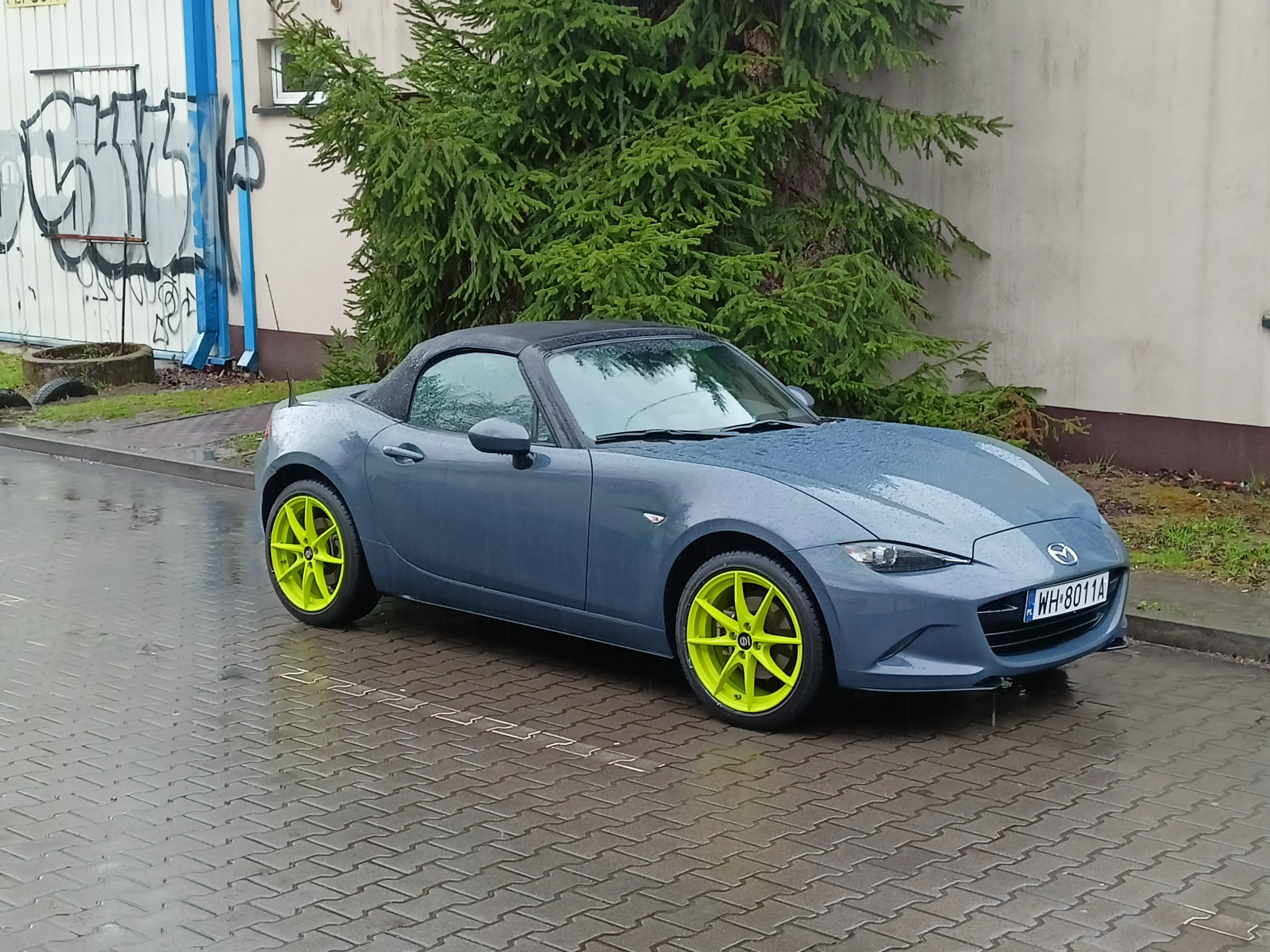 sparco.jpg