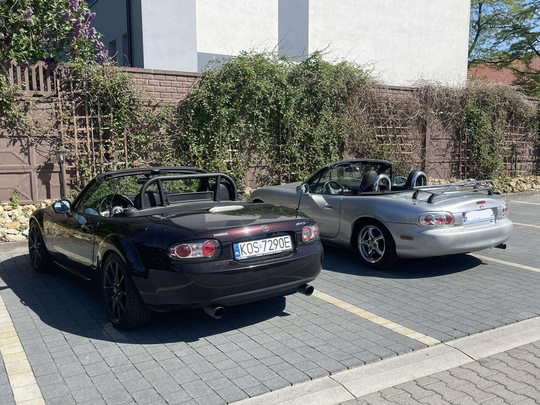 IMG_5583.JPEG