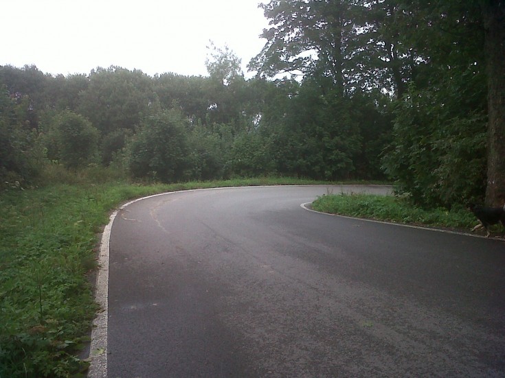 IMG00325-20120901-1630.jpg
