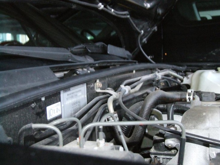 DSCF2273.JPG