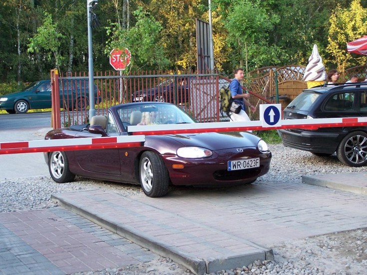 100_8808.JPG