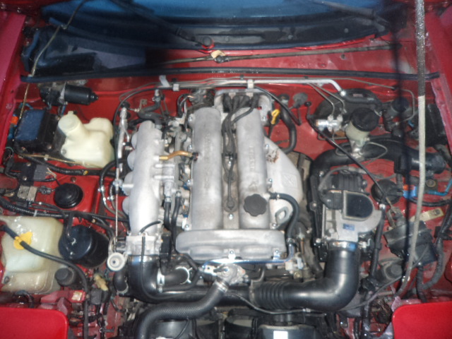 Obraz 959.jpg