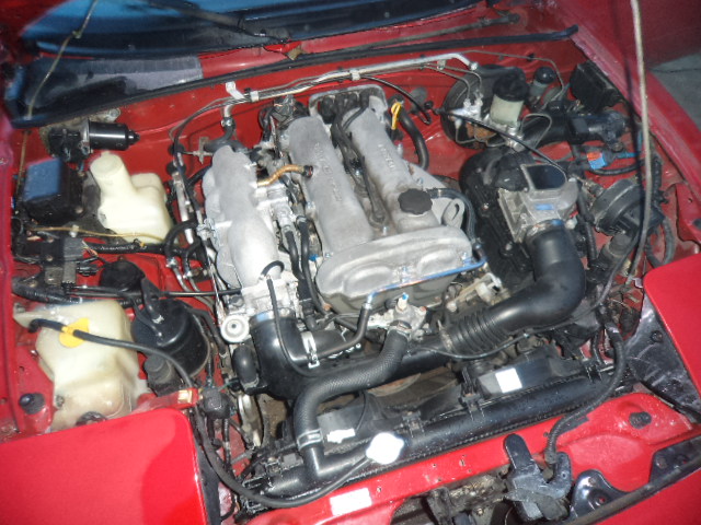 Obraz 957.jpg