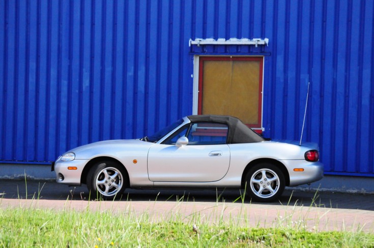 DSC_7908.jpeg