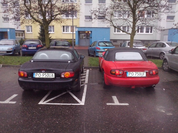 IMG_20131113_080810.jpg