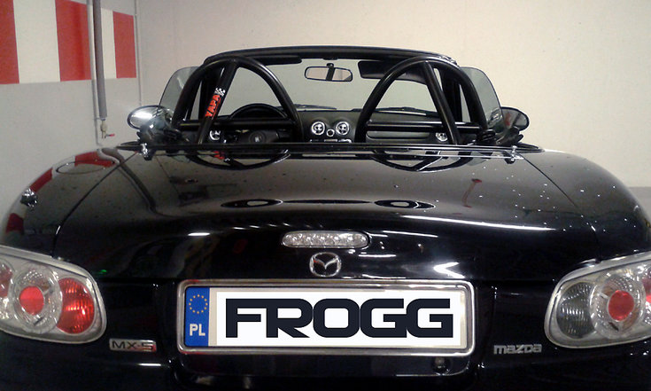 Frogg RAL9005.jpg
