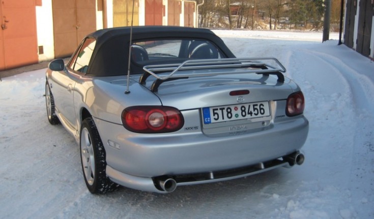 mysha2.jpg