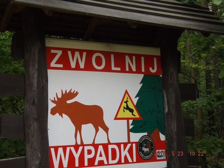 DSCF9244.jpg