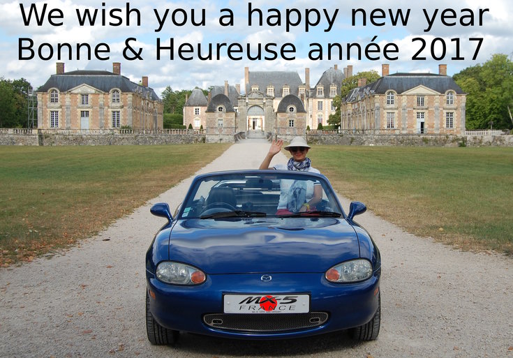 Bonne année 2017.JPG