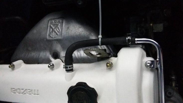 20170511_205018.jpg