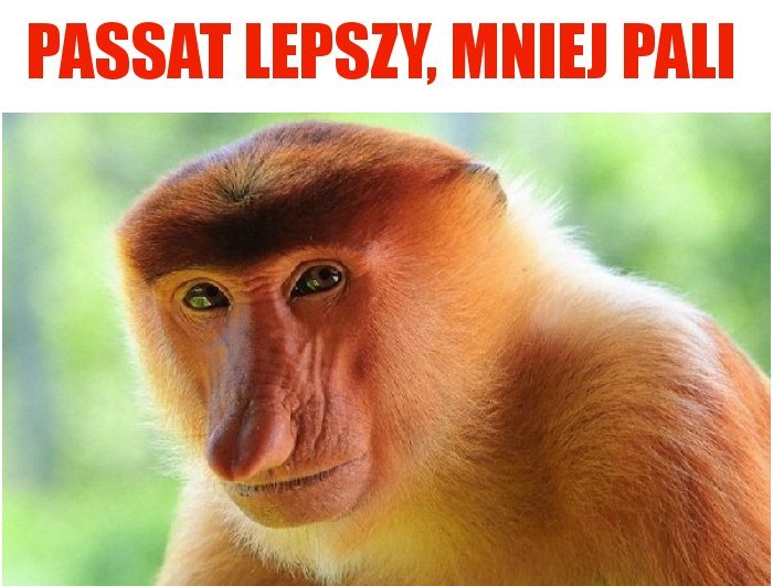 passat-lepszy-mniej-pali_2017-11-06_16-31-41.jpg