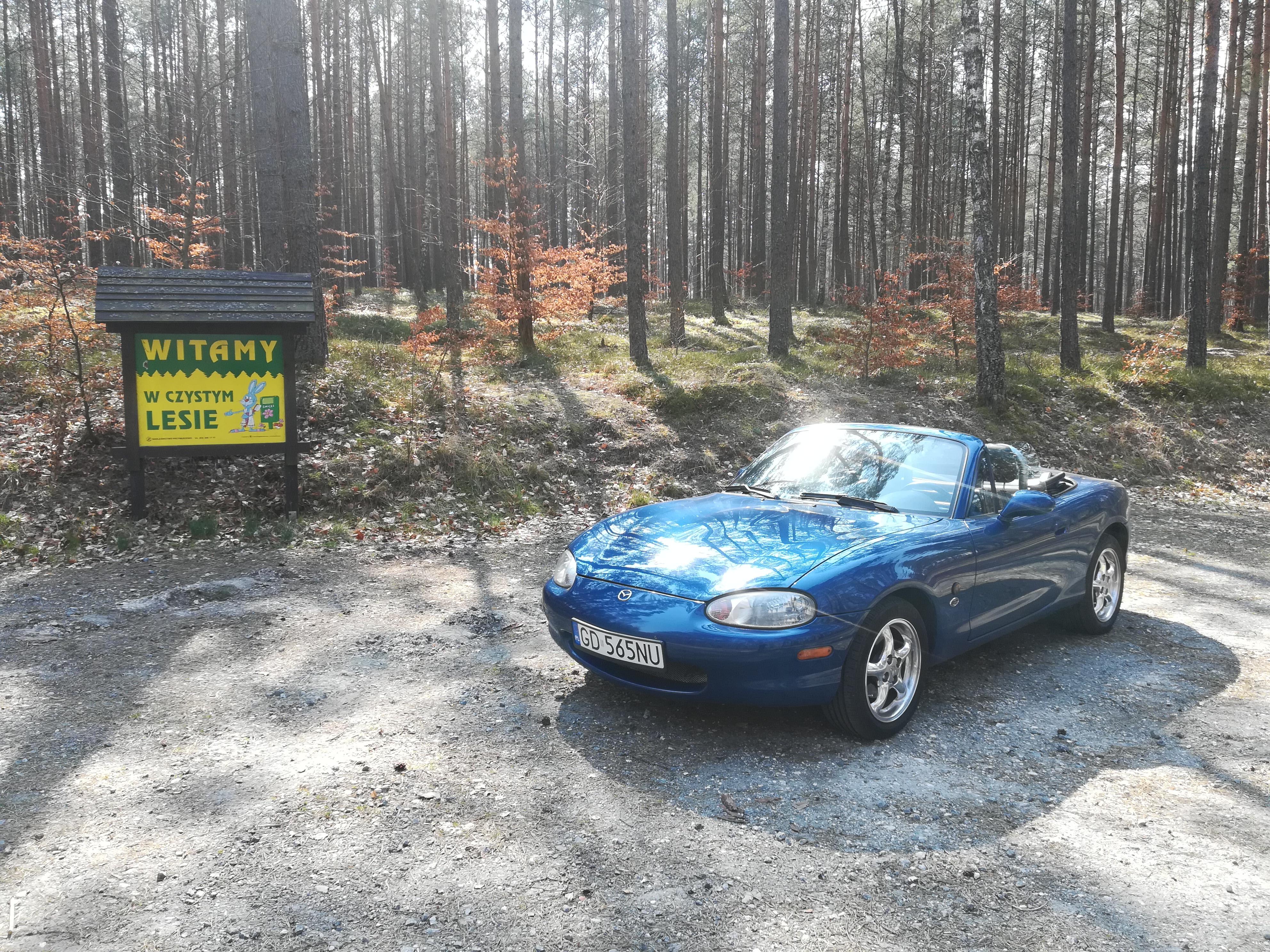 Miata w lesie w Lasce.jpg